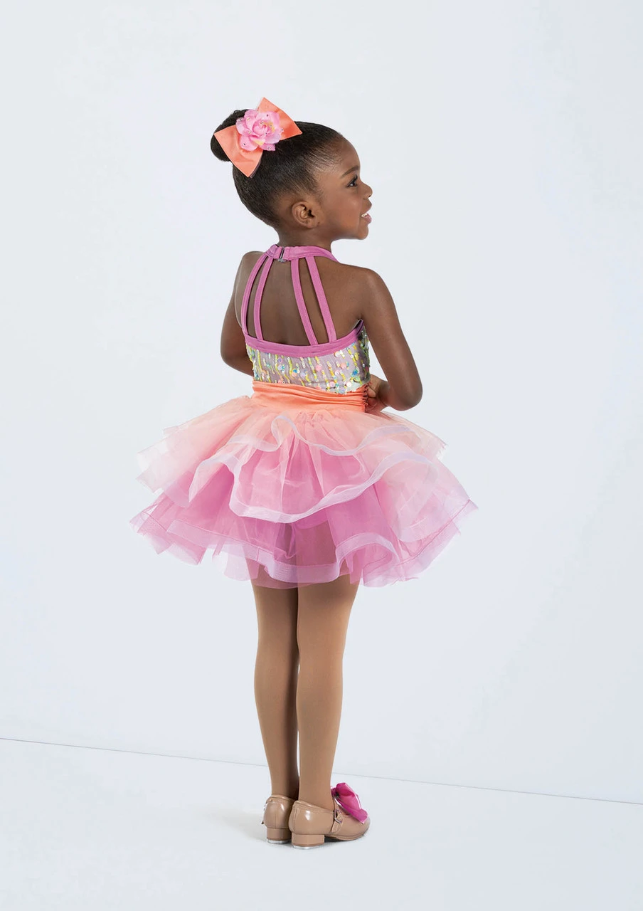 Weissman Shake My Sillies Out 1 Weissman Shake My Sillies Out