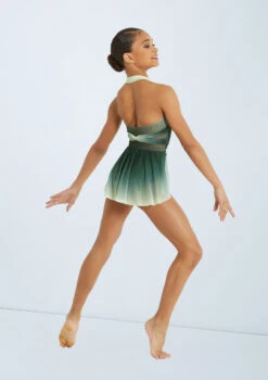 Weissman Lifelines 11 Weissman Lifelines -Capezi Dance Wear Shop pl11371 weissman draped ombre mesh leotard green back 00936.1678891376