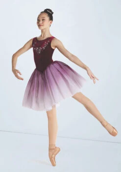 Weissman That's The Way It Is 5 Weissman That's The Way It Is -Capezi Dance Wear Shop wn14929 black cherry 4230 14883.1698820813