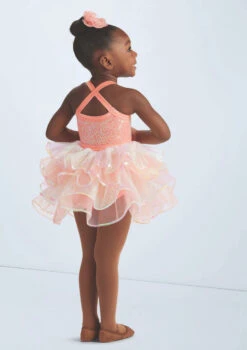Weissman So Very Glad You're Here -Capezi Dance Wear Shop wn15176 sherbet 1229 43864.1694043436